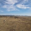 Photo of Mobile Home Lot