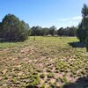 Photo of Mobile Home Lot