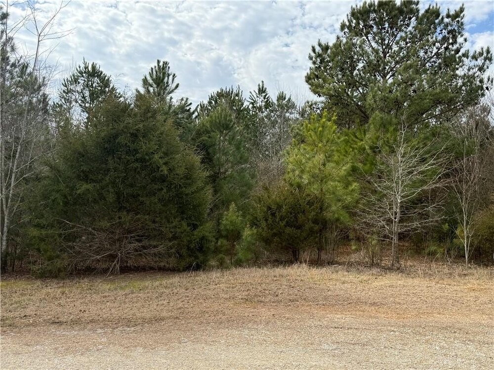 Photo of Mobile Home Lot