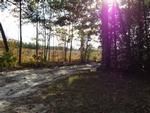 Photo of Mobile Home Lot