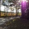 Photo of Mobile Home Lot