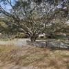 Mobile Home for Sale: 2023 Mobile Home