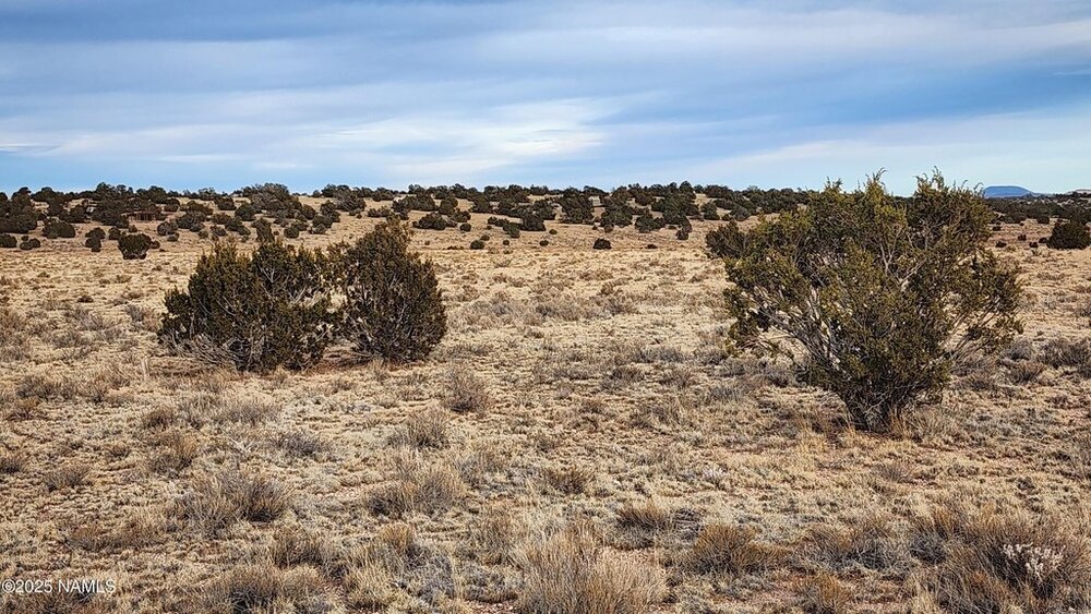 Photo of Mobile Home Lot