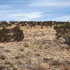 Photo of Mobile Home Lot