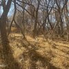 Photo of Mobile Home Lot