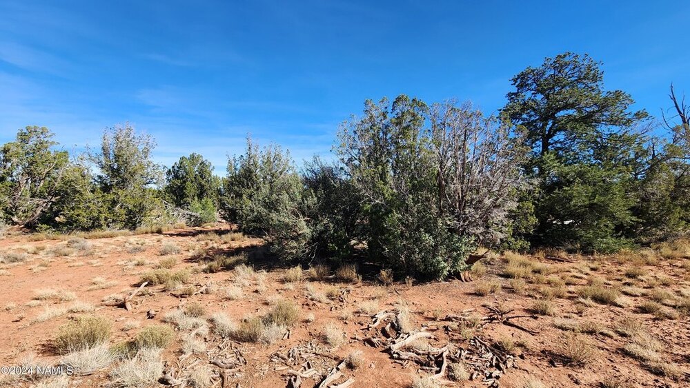 Photo of Mobile Home Lot