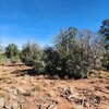 Photo of Mobile Home Lot