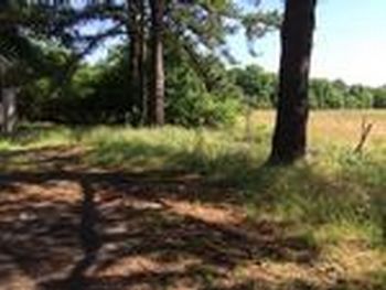 Photo of Mobile Home Lot