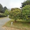 Mobile Home for Sale: 2 Bed 1 Bath 1983 Mobile Home
