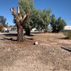 Photo of Mobile Home Lot