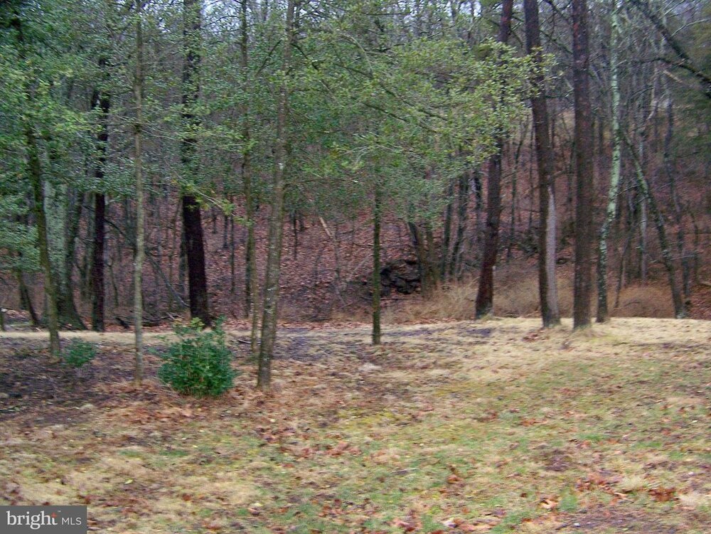 Photo of Mobile Home Lot