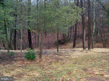 Photo of Mobile Home Lot