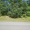 Mobile Home for Sale: 3 Bed 2 Bath 1991 Mobile Home