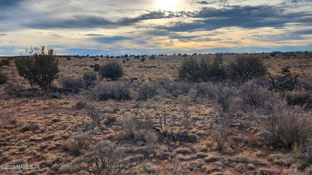 Photo of Mobile Home Lot