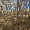 Photo of Mobile Home Lot