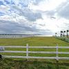 Mobile Home for Rent: Mobile Home
