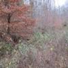 Photo of Mobile Home Lot