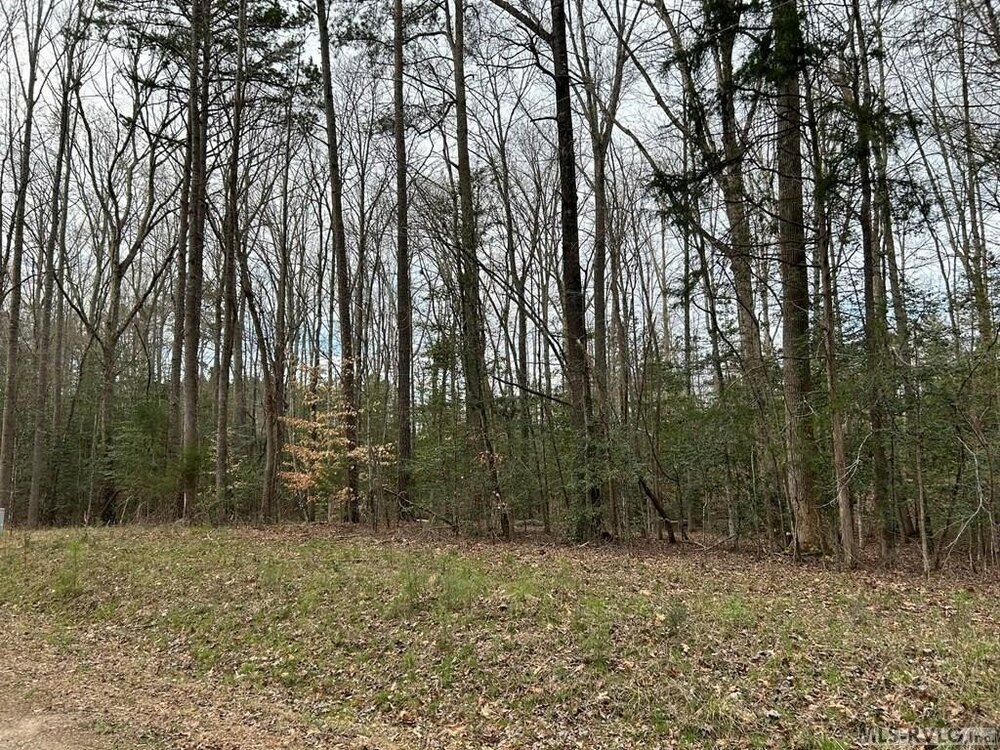 Photo of Mobile Home Lot