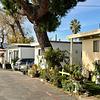 Mobile Home Park for Sale: Serenity Acres Mobile Home Park, Santa Clarita, CA