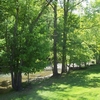 Photo of RV Lot