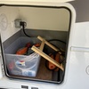 RV for Sale: 2021 FORESTER 2251LE