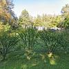 Mobile Home for Sale: 3 Bed 2 Bath 2015 Mobile Home