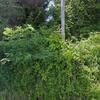 Mobile Home for Sale: 1986 Mobile Home