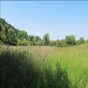 Thumbnail of mobile home lot