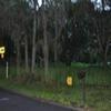 Mobile Home Lot for Sale: FL, ORLANDO - Land for sale., Orlando, FL