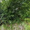 Mobile Home for Sale: 1963 Mobile Home