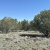Photo of Mobile Home Lot