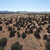 Mobile Home Lot for Sale: Residential/Mobile - Williams, AZ, Williams, AZ