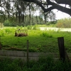Photo of Mobile Home Park