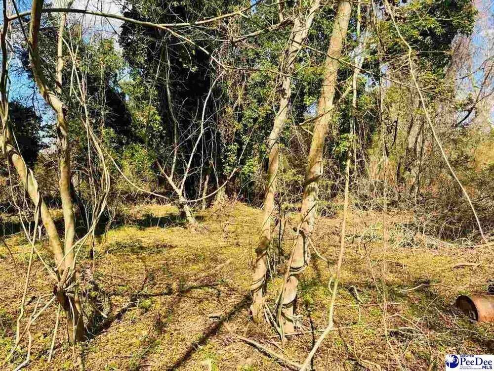 Photo of Mobile Home Lot