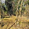 Photo of Mobile Home Lot