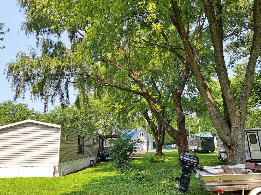 Photo 8