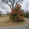 Mobile Home for Sale: 2010 Mobile Home