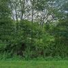 Mobile Home for Sale: 1976 Mobile Home