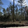 Photo of Mobile Home Lot