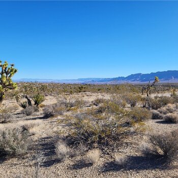 Photo of Mobile Home Lot