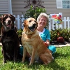 Pet Friendly w/ 2 Dog Parks