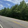 Mobile Home Lot for Sale: Over 13 Acres of Land, Nice Area Just Outside of Town!, Blackville, SC