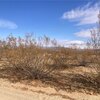 Photo of Mobile Home Lot