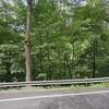 Mobile Home for Sale: Mobile Home