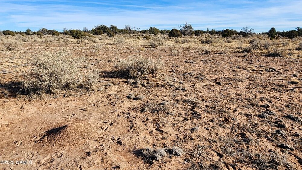 Photo of Mobile Home Lot