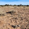 Photo of Mobile Home Lot