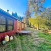 Mobile Home for Sale: 3 Bed 2 Bath 1995 Mobile Home