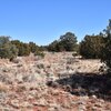 Photo of Mobile Home Lot