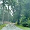 Mobile Home for Sale: Mobile Home