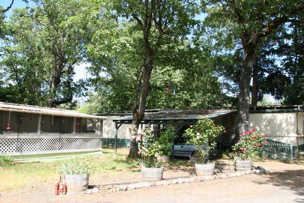 Misc park photo